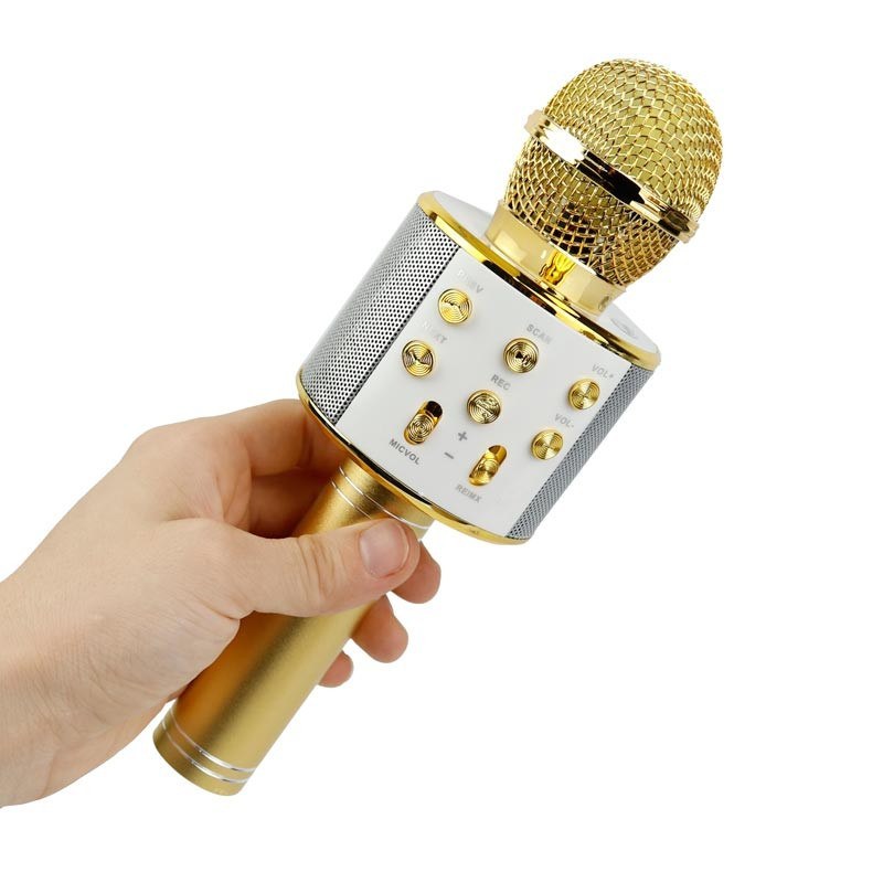 میکروفون اسپیکر WS-858