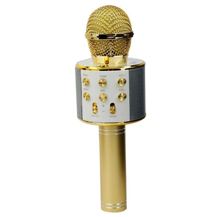 میکروفون اسپیکر WS-858
