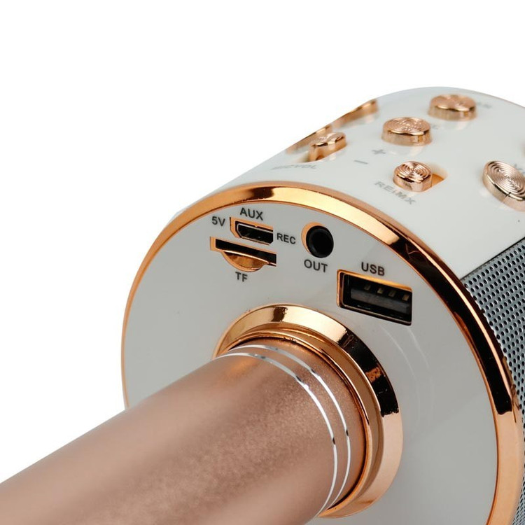 میکروفون اسپیکر WS-858