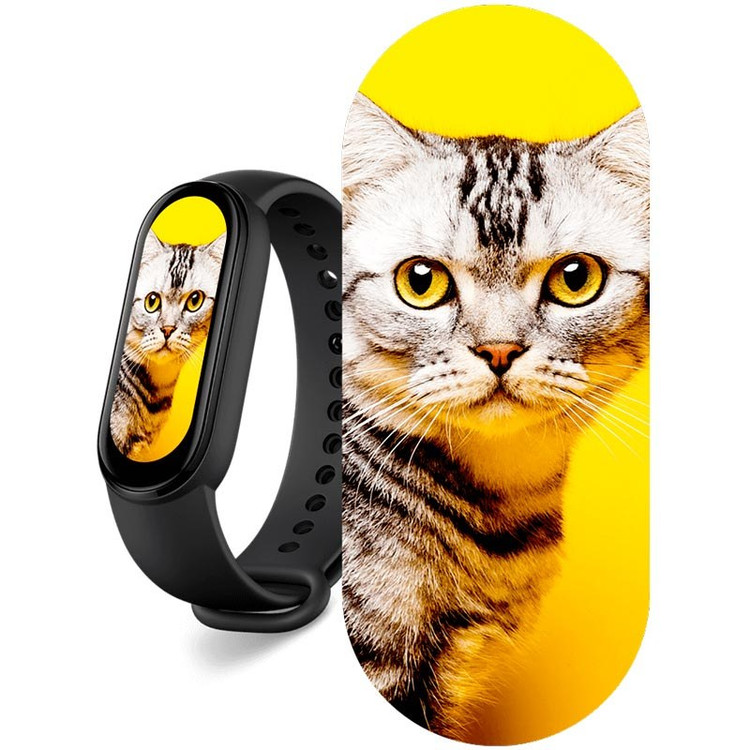 دستبند هوشمند شیائومی مدل Xiaomi Mi Band 6 گلوبال به همراه گلس هدیه